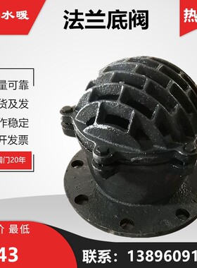 法兰底阀水泵吸水止水止回阀H42X-6单向铸铁井底阀DN100 50 40