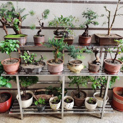 不锈钢花架阳台阶梯落地式铁艺多层多肉花盆客厅室内外装饰置物