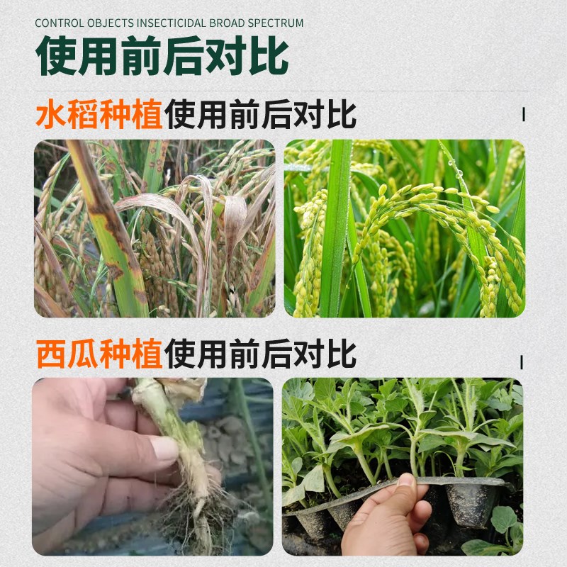 枯草芽孢杆菌蔬菜农用种菜枯萎烂根灵草莓复合肥料专用植物活力素