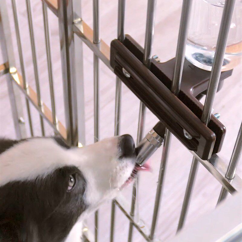 创逸大狗饮水器挂式大容量不湿嘴头滚珠狗笼子喝水器挂式大型犬