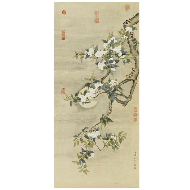 清邹一桂梨花夜月图卷轴画中式装饰画花鸟画客厅沙发玄关茶楼挂画