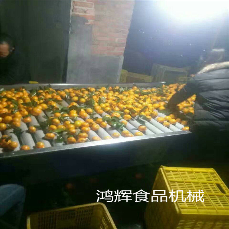 多功能清洗流水线 循环式海鲜气泡清洗机 蔬菜清洗烘干设备 现货,清洗/食品/商业设备,洗果机/洗菜机,淘宝优惠券,粉丝福利购,淘宝优惠卷