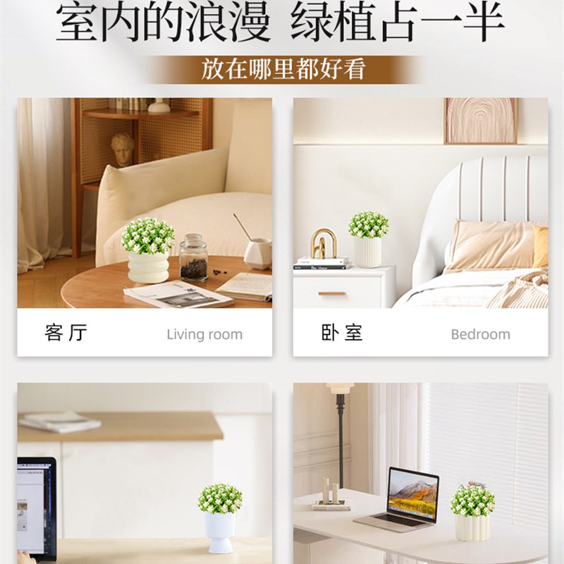 雪花玉坠多肉办公室桌面好养活植物群生多头招财绿植清新空气盆栽