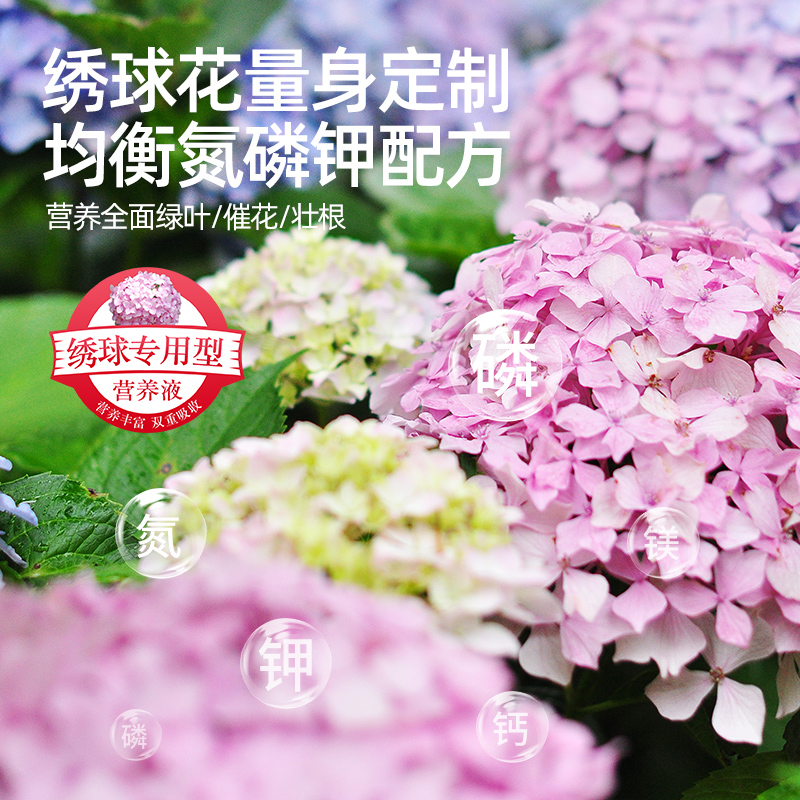 绣球花肥料专用肥浓缩营养液家用盆栽花卉花肥料水土培植物通用型