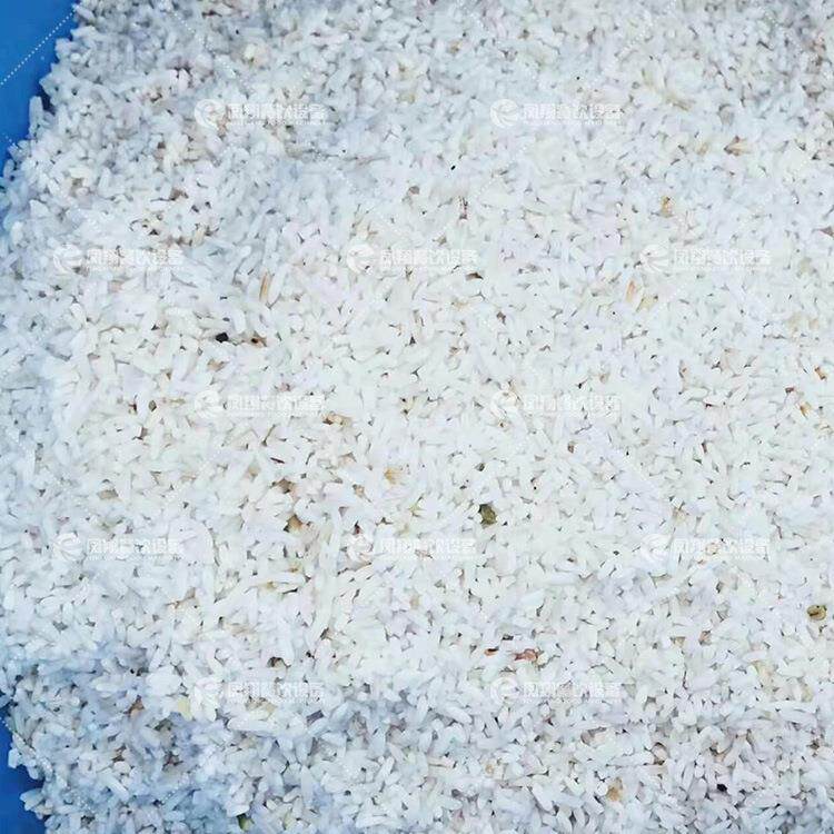 实力净工菜加工设厂备脱连续VDH式水机大型叶菜类旋转离心沥水机