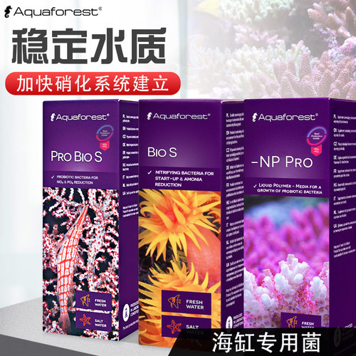 波兰紫色森林超浓缩硝化细菌鱼用益生菌鱼缸专用净化水质助长剂