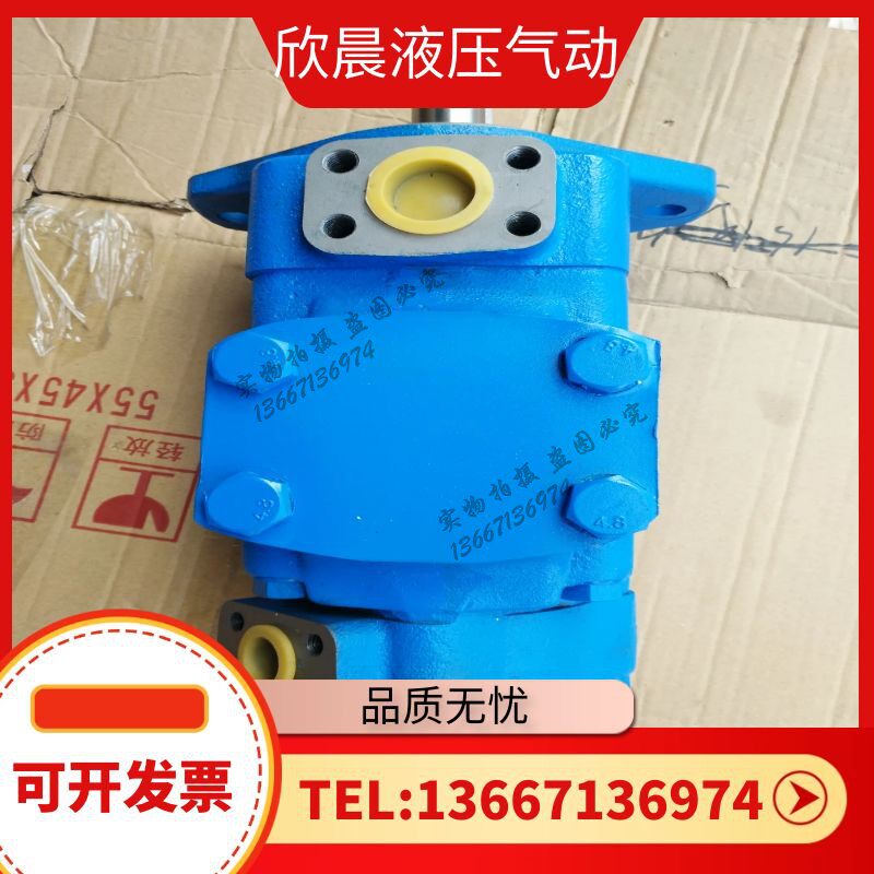 高压叶片泵 广东广液油泵YB-FQ40 YB-FQ63 YB-FQ100 125 200 泵芯