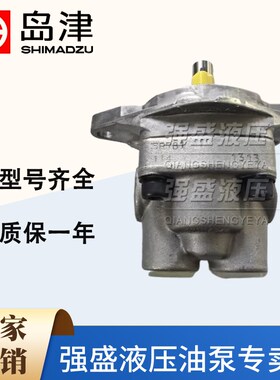 SHIMADZU岛津YP10-5.0D2H2-R781齿轮泵YPD1-2.52.5A2D2-L644 油泵