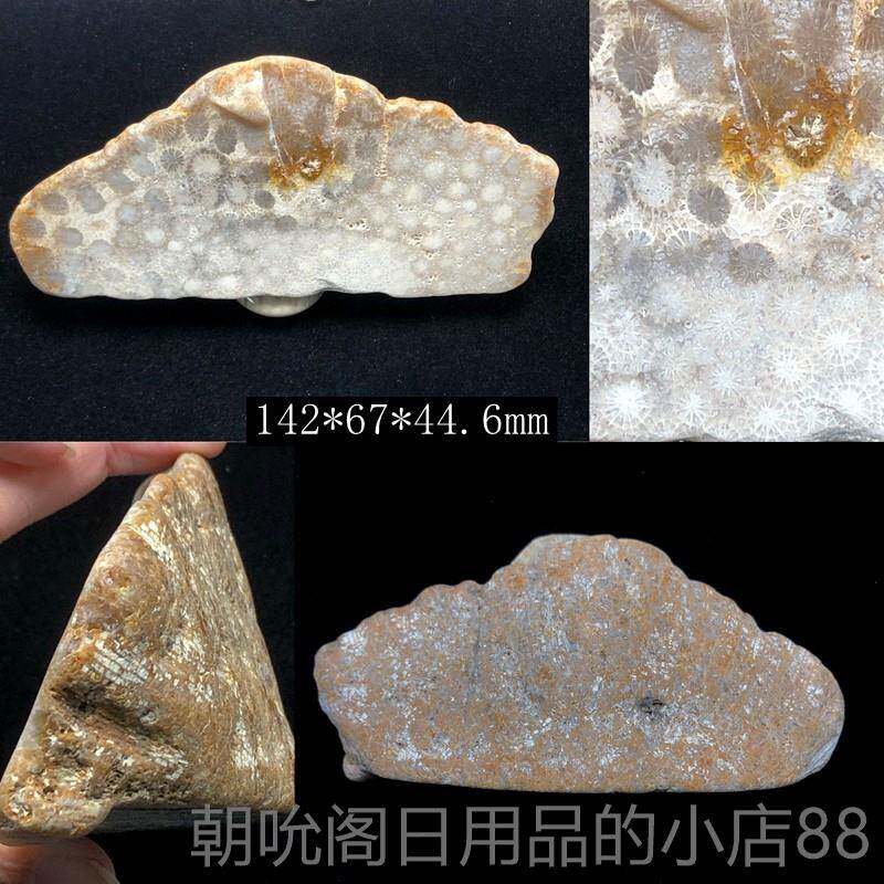 高档印尼矿天然珊瑚装原石矿料摆件菊花玉石手把件饰饰玉品片原料