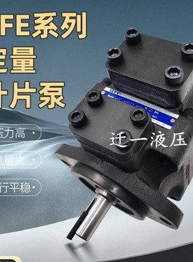 PFE-21005-1DT 太重TZYY榆次叶片泵 PFE-31006 41037 51150 61224