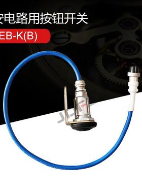 ZEB-K(B)本安电路用按钮开关AH1/24矿用防爆电子喇叭配套按钮开关