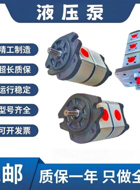 HONOR钰盟齿轮泵2GG1P14R 2GG1P14R 2GG1P30R 2GG1P33RA双联泵