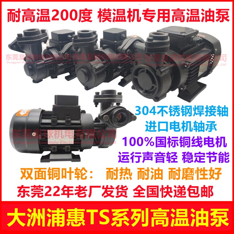 台湾TS木川YS元欣莞泉大洲浦惠TS63/71高温油泵模温机热油循环泵