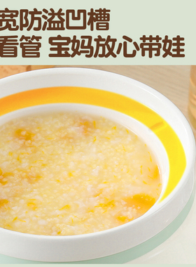 全自动免看管电炖锅煲汤锅熬煮粥神器插电养生锅婴儿电炖盅炖锅
