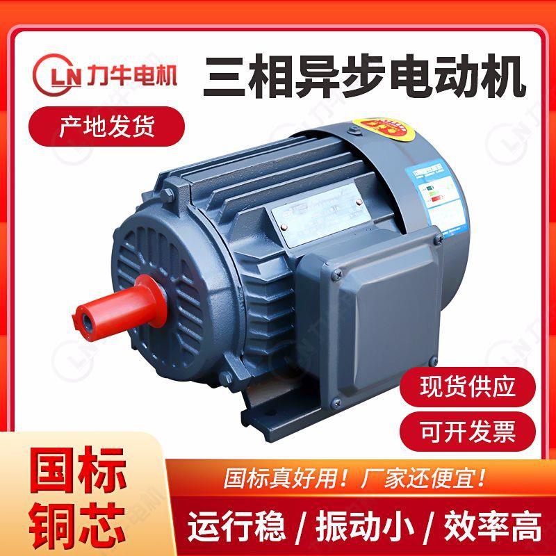 三相异步电动机YE2-200L1-6-18.5YE2-200L2-6-22w三相交流电机