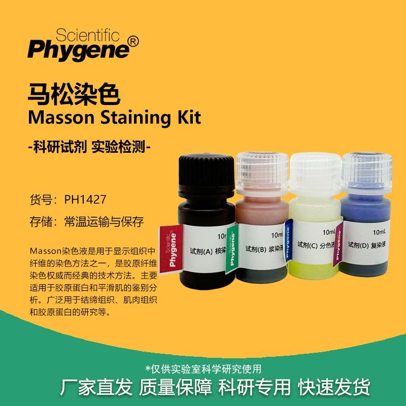 马松染色试剂盒 410mL Masson溶液马松三色染色 PH1427 PHYGENE