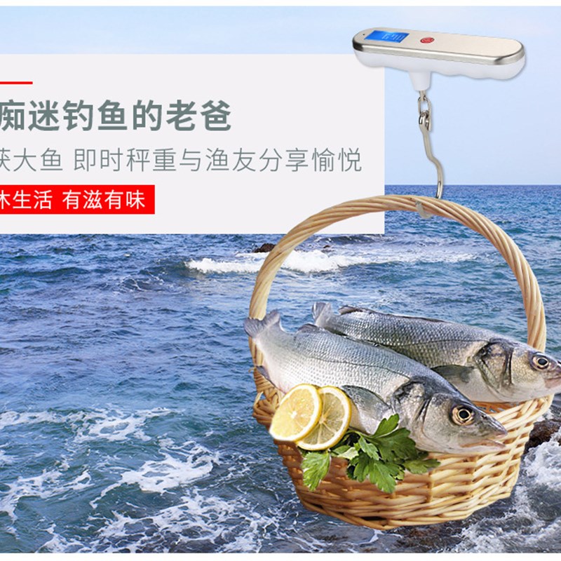 威衡便携手提秤电子勾称拉力电子秤kg高精度行李称家用钓鱼小秤