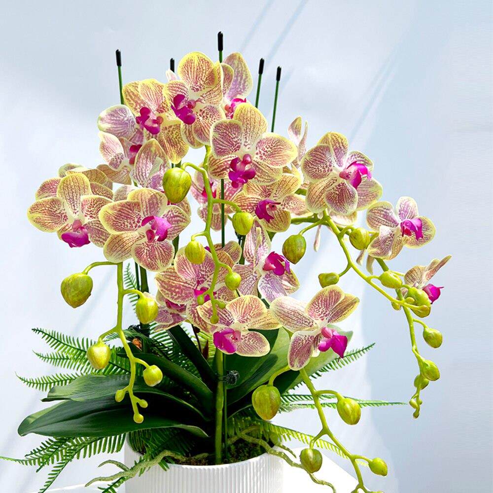 高档仿真兰花手感兰花蝴蝶假花盆栽玄关客厅餐桌前台装饰花艺摆件