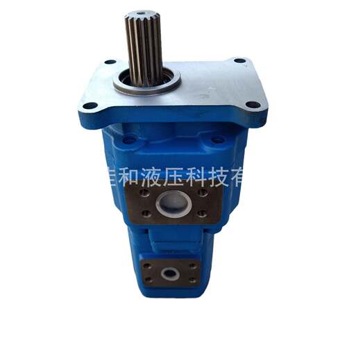徐工机械装载机双联泵 803004128 厂家供应 J2100/GJ0010-XF