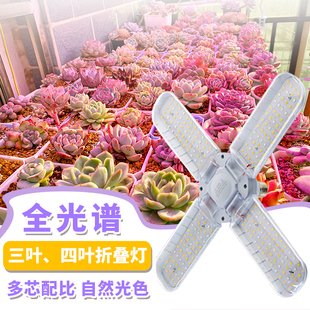 星锐多肉补光灯 可折叠灯上色全光谱LED仿太阳光灯绿植育苗家用
