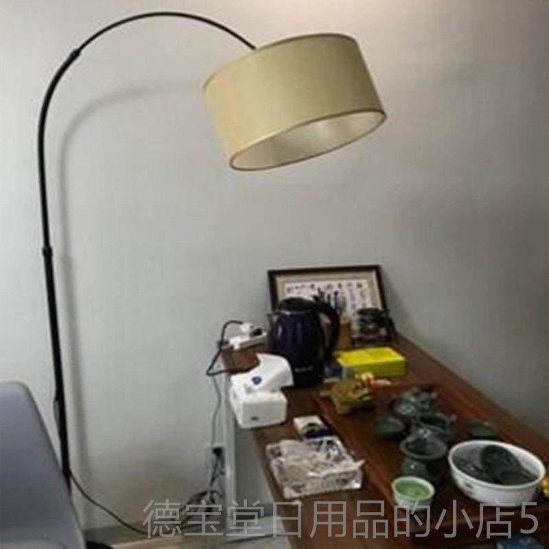 正品欧式钓鱼客厅落地灯卧室现代简E约ins少创女轻意奢智能LD护眼,家装灯饰光源,装饰落地灯,淘宝优惠券,粉丝福利购,淘宝优惠卷