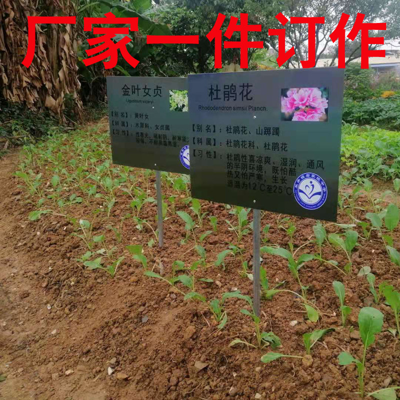 插地牌树牌定制不锈钢腐蚀牌花草树标识牌铝牌园林绿化牌丝印UV牌
