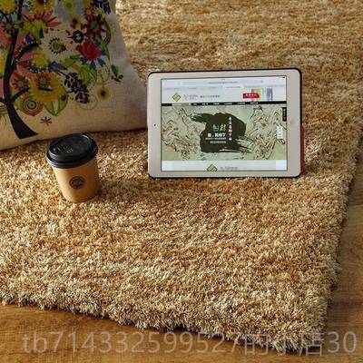 高档清仓|圣猫瓦伦丁纯色撸e感地毯bar feet极简客厅制卧室阳台定