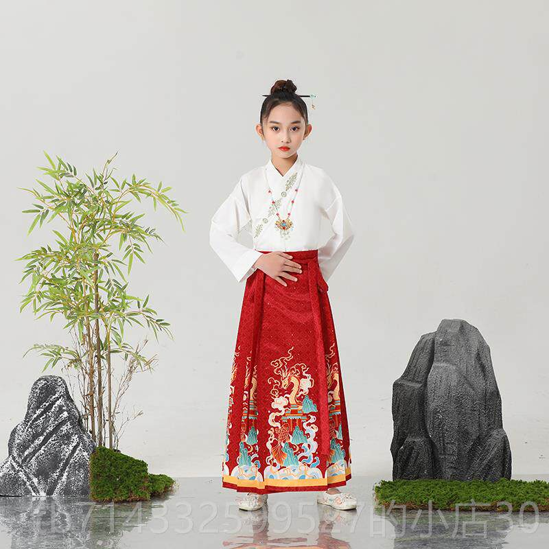 高档儿规童服女童古装男童汉服国学书童弟子表演服装六一儿童演出