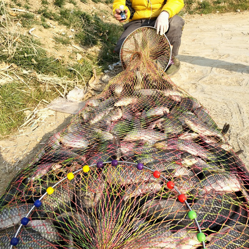 黑坑灵诱导催化素钓鱼小药鲤鱼小箹野钓鲫鱼草青鱼饵料添加剂用品