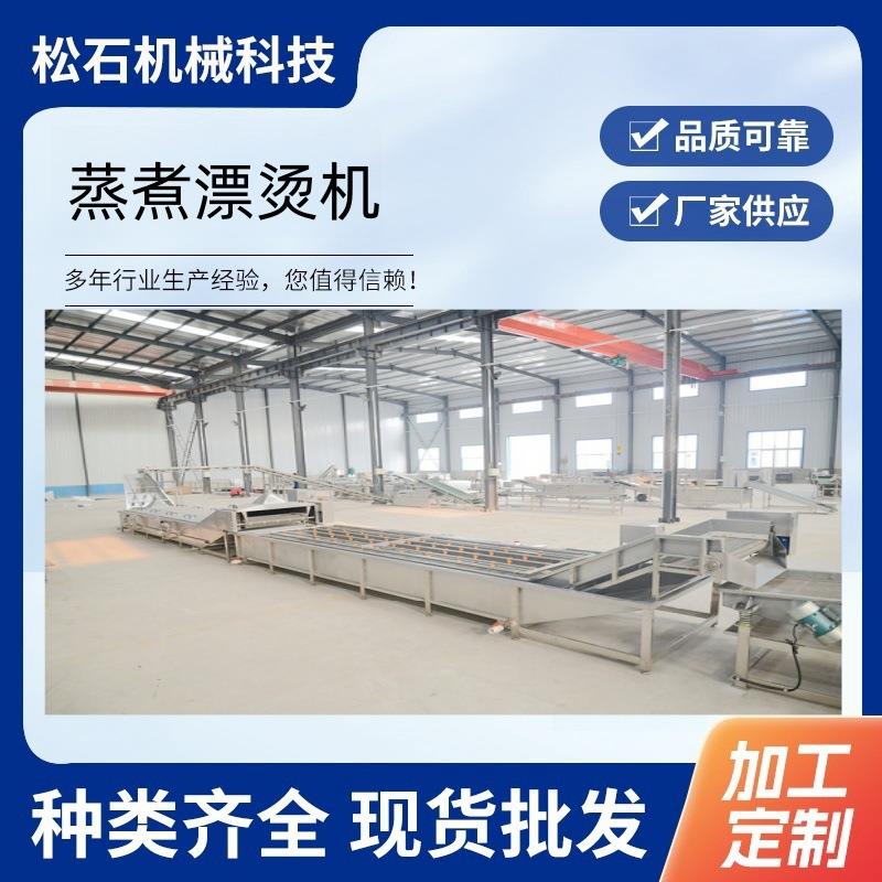 竹笋毛豆漂烫蒸煮设备藕片土豆片漂烫机豆角杀青漂烫机杀菌