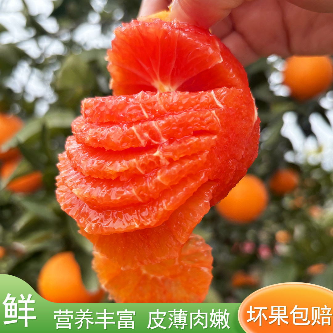 中华红血橙正宗秭归红橙时令水果当季新鲜红肉橙子手剥10斤大果,水产肉类/新鲜蔬果/熟食,橙,淘宝优惠券,粉丝福利购,淘宝优惠卷