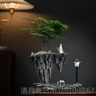 高档天空之城六月雪文竹浮绿植盆办景栽公室内玄悬净关书桌面化空