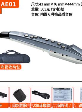 高档n日本品牌Rolad罗兰AE萨-0电吹管老人电克斯电1子乐器二胡AE0