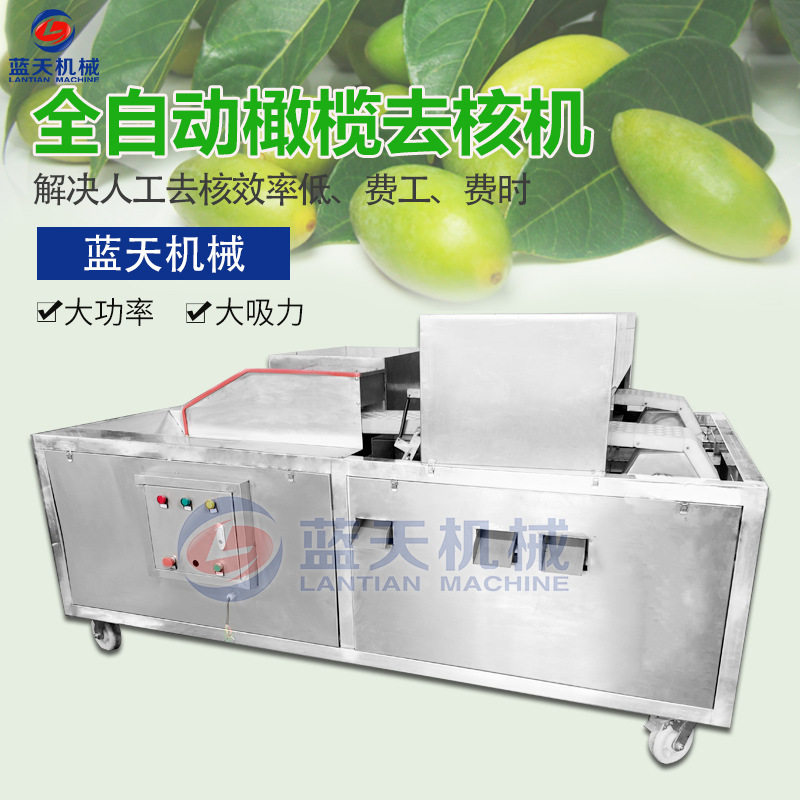 蓝天全自动橄榄去核机 商用电动青橄榄去核机器 甘榄青果去核设备