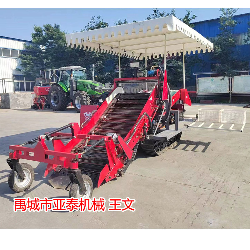 ww丘陵山地用小型装袋装筐集箱收获机履带自走式红薯马铃薯收获机