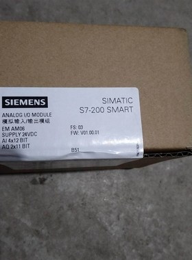 模块 288-3AM06-0AA0