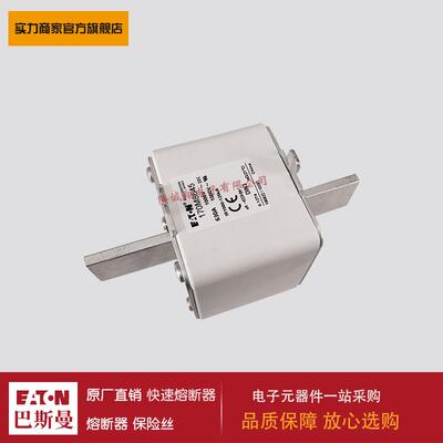 熔断器170M6868 170M6869 170M6870 170M6891 170M8645 170M8646