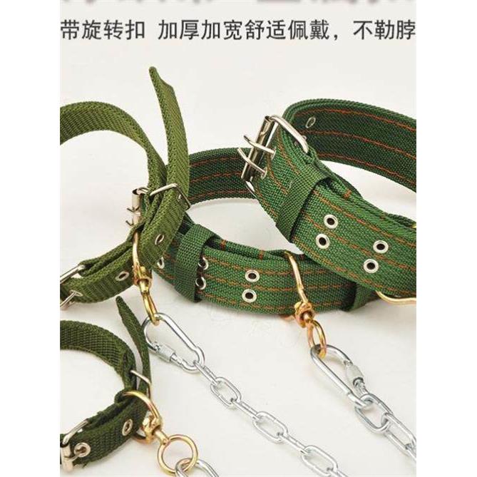 狗炼牵引绳防咬铁炼大狗项圈狗行走绳小柯基金毛猎犬德国牧羊犬