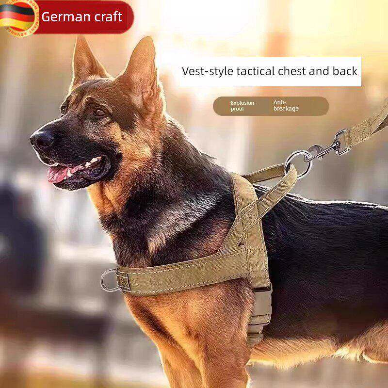 采购产品狗皮带,大狗挽具,背心项圈,马狗,金毛猎犬,德国牧羊