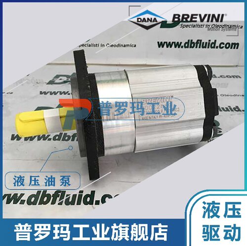 BREVINI布雷维尼齿轮泵E494PHC1-43E60695909动力单元小排量泵