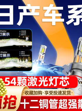 适用日产经典新轩逸奇骏逍客阳光天籁骐达骊威颐达LED大灯泡