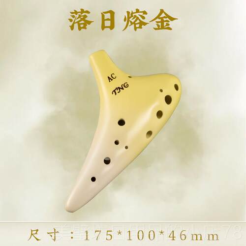 高档tng陶笛 2孔AC调初学者专业器演奏型乐学小生专用十二孔1中音