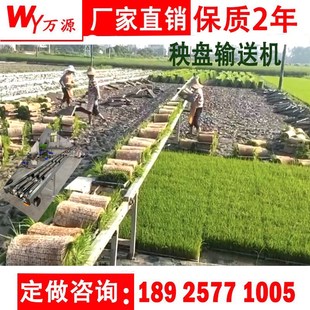 秧盘运输机电动水稻运苗架秧苗输送机蔬菜传送带运送田插秧流水线