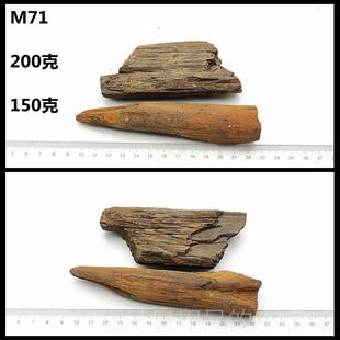正品黑化江木化天石冰河时期然树玉硅化木原龙石摆件观赏石标本礼
