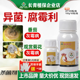 长青盈多丽30%异菌脲腐霉利 番茄葡萄灰霉病斑点落叶病农药杀菌剂