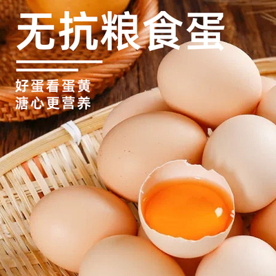 品位凤雏农场直供新鲜无抗粮食蛋