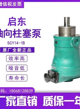 启东高压油泵轴向柱塞泵10/25/63/80/160/250SCY14-1B手动变量泵