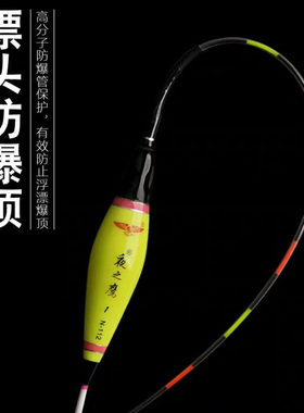 夜之鹰纳米电子漂超亮水无影鲫鱼夜钓漂高灵敏醒目日夜两用夜光漂