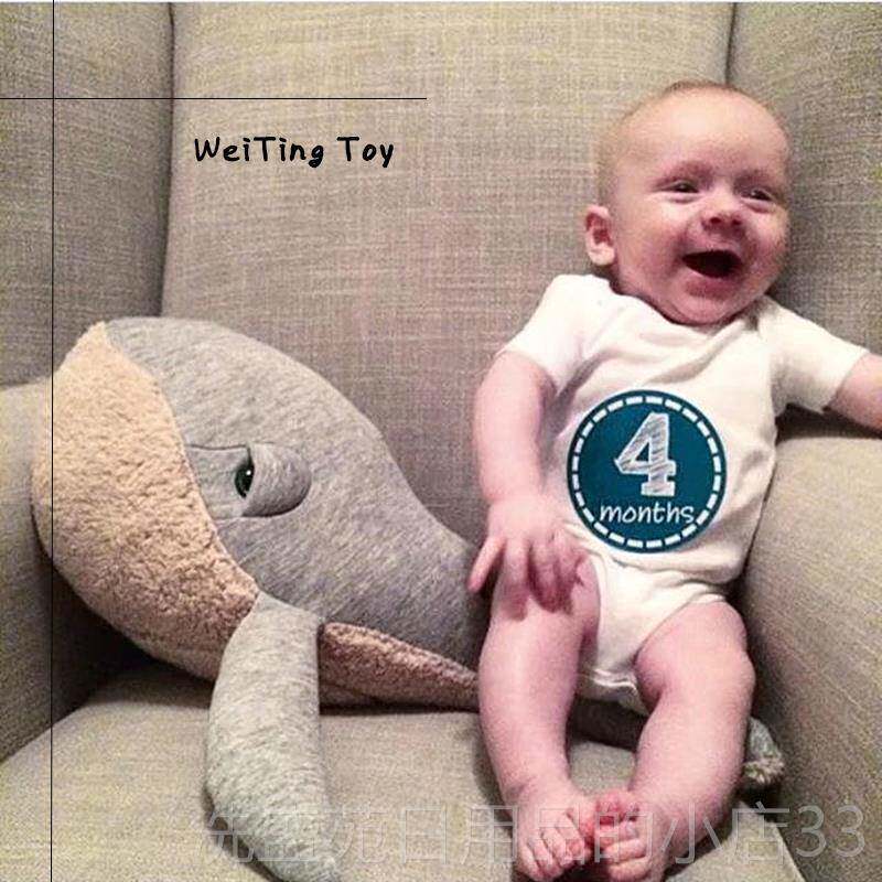 正品抚ins风海豚鲸鱼公仔安绒抱超柔软家居儿童房拍照装饰毛枕玩