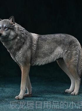 正品Jxk白狼极狼模拟模型1/野6模拟生动物周图家北居高端饰边品